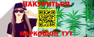 мяу мяу мука Моздок